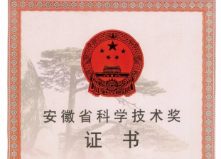 荣誉 | 爱游戏（中国）新铭丰、安徽爱游戏（中国）洁能荣获省级科技进步奖！