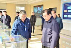 马鞍山市市长袁方一行莅临爱游戏（中国）新材料考察调研